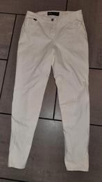 Rijbroek wit PK Domino maat 36, Dieren en Toebehoren, Paardrijkleding, Dressuur, Nieuw, Ophalen of Verzenden, Dames