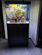 AQUARIUM JUWEL LIDO 200 MET SUPERFISH LEDVERLICHTING, Ophalen, Gebruikt, Leeg aquarium