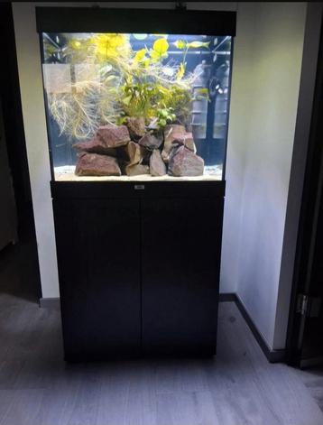 AQUARIUM JUWEL LIDO 200 MET SUPERFISH LEDVERLICHTING  beschikbaar voor biedingen