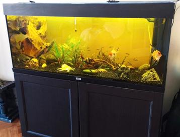 

JUWEL Aquarium Rio incl. base cabinet LED black 240 L beschikbaar voor biedingen