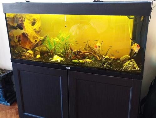 JUWEL Aquarium Rio incl. base cabinet LED black 240 L, Dieren en Toebehoren, Vissen | Aquaria en Toebehoren, Leeg aquarium, Ophalen