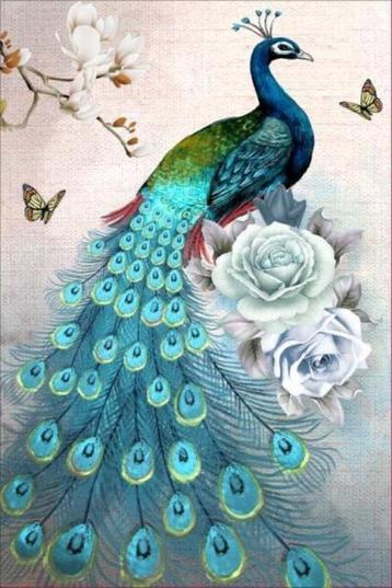 Diamond Painting nr 191 color pauw OP=OP beschikbaar voor biedingen