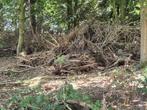 klein hout takken en stronken, Tuin en Terras, Haardhout, Minder dan 3 m³, Ophalen, Overige houtsoorten, Takken