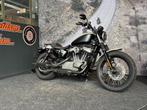 Harley-Davidson XL1200N Nightster (bj 2008), Bedrijf, Overig