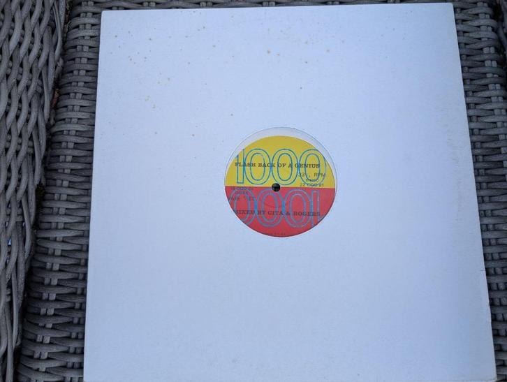 LP - Flash Back of a Genius - Mixed by Cita & Rogers, Cd's en Dvd's, Vinyl | Verzamelalbums, Zo goed als nieuw, Dance, 12 inch