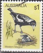 Australië -1.28- 1980 - Vogels - De zwartrugfluitvogel, Postzegels en Munten, Postzegels | Oceanië, Verzenden, Gestempeld