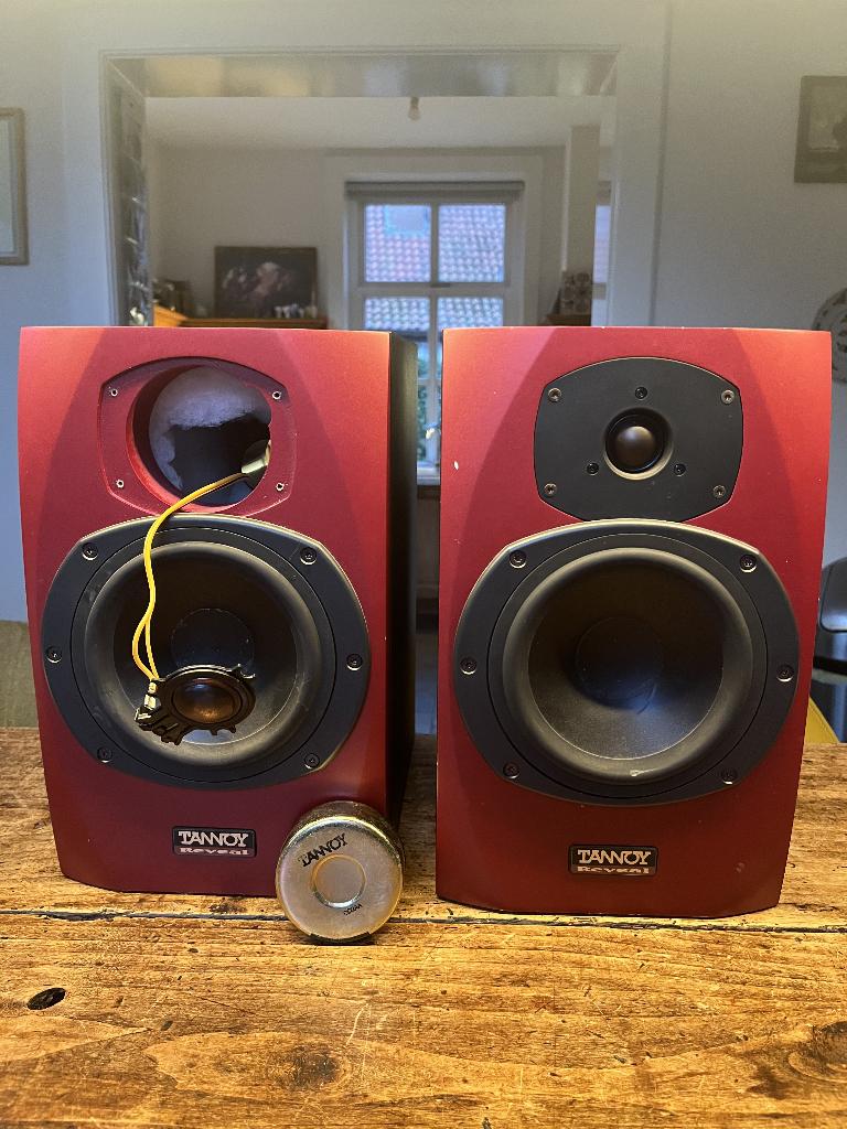 tannoy reveal studiomonitors, Gebruikt, 60 tot 120 watt, Front, Rear of Stereo speakers, Ophalen