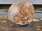 Versteend hout schijf 243 gram, Verzamelen, Mineralen en Fossielen, Ophalen of Verzenden
