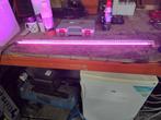 Led verlichting aquarium, Dieren en Toebehoren, Vissen | Aquaria en Toebehoren, Ophalen, Zo goed als nieuw, Verlichting of Verwarming