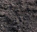 Gratis brengen zwarte schone grond, Ophalen