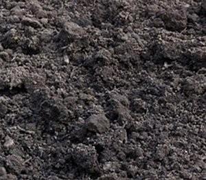 Gratis brengen zwarte schone grond beschikbaar voor biedingen