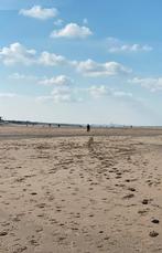 GEZOCHT - stalling rondom bollestreek, Stalling