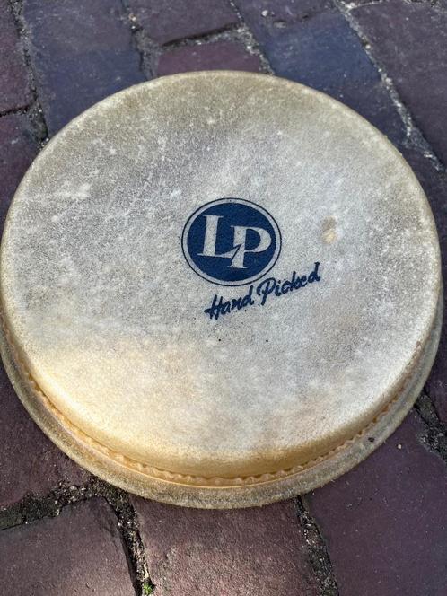Bongovel Latin Percussion LP263A nieuw voor bongo 7 1/4", Muziek en Instrumenten, Percussie, Nieuw, Trommel, Ophalen of Verzenden