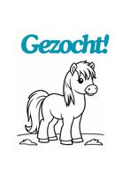 Gezocht shetlander of a-pony!, Dieren en Toebehoren, Merrie, A pony (tot 1.17m), Recreatiepony, 0 tot 2 jaar