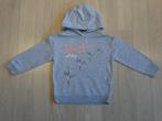 Ballerina hoodie mt 110-116, Ophalen of Verzenden, Zo goed als nieuw, Meisje, Trui of Vest