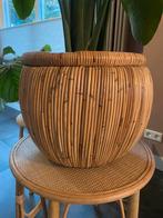 Rotan plantenmand - drypot blond belly, Ophalen, Zo goed als nieuw, Rond, Overige materialen