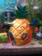 Vuurgarnalen te koop - jongvolwassen 0,75 euro, Dieren en Toebehoren, Vissen | Aquariumvissen, Kreeft, Krab of Garnaal