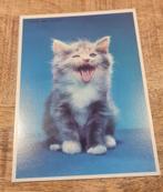 Kleine kitten zegt miauw, Verzamelen, Ansichtkaarten | Dieren, Verzenden, Ongelopen, Hond of Kat