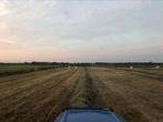 Ronde balen 1 ste snee, Dieren en Toebehoren, Ophalen of Verzenden, Vee