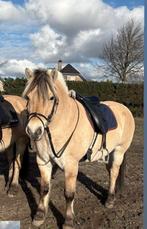 Verzorger/bijrijder gezocht, Ophalen, Zo goed als nieuw