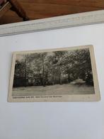 OOSTVOORNE AAN ZEE. HOTEL DUINOORD MET BOSCHLAAN, Ophalen of Verzenden, Voor 1920, Zuid-Holland