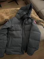 Canada Goose MacMillan, Maat 48/50 (M), Canada Goose, Ophalen of Verzenden, Zo goed als nieuw