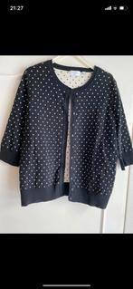 Prachtig Peter Hahn vestje xl, Kleding | Dames, Peter Hahn, Ophalen of Verzenden, Zo goed als nieuw, Maat 42/44 (L)