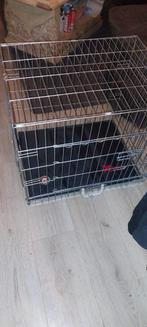 Bieden, Dieren en Toebehoren, Ophalen, Zo goed als nieuw, Minder dan 75 cm, Minder dan 65 cm