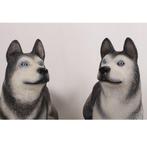 Husky hondenset beelden - set van 2 Lifesize, Nieuw, Ophalen of Verzenden