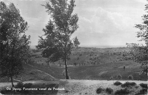 (388-454-053) De Steeg  Panorama vanaf de Posbank, Verzamelen, Ansichtkaarten | Nederland, Gelderland, Verzenden