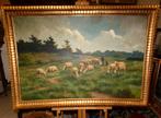 Henri Matthijs (XIX-XX) schapen met herder., Ophalen