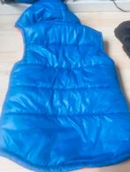 Ralph Lauren bodywarmer, Ophalen of Verzenden, Zo goed als nieuw, Blauw