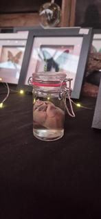 Te koop: wasberen hart op sterk water, Verzamelen, Ophalen of Verzenden, Nieuw, Beeldje of Figuurtje