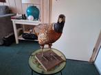 Opgezette Fazant - Decoratie, Ophalen