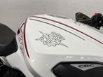 MV Agusta DRAGSTER 800 (bj 2014), Motoren, Motoren | MV Agusta, Motorrijbewijs A, Bedrijf, Meer dan 35 kW, 800 cc