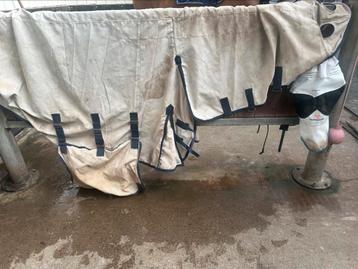 Horsegear Eczeemdeken, maat 185, met hoody. beschikbaar voor biedingen
