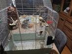 Kanarie zingt goed, Dieren en Toebehoren, Ophalen of Verzenden, Zo goed als nieuw, Metaal, Vogelkooi