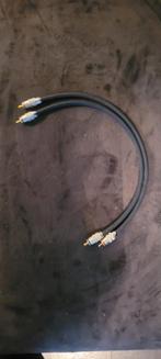 Te koop interlink setje, Ophalen of Verzenden, Zo goed als nieuw, Minder dan 2 meter, Interlink-kabel