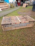 Mand, Dieren en Toebehoren, Vrouwelijk