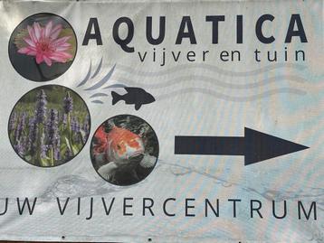 Vijverplanten specialist! Limburg beschikbaar voor biedingen