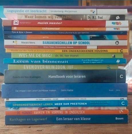 PABO boeken jaar 1, 2, 3 en 4 Driestar Gouda, Boeken, Schoolboeken, Zo goed als nieuw, Nederlands, Overige niveaus, Ophalen of Verzenden