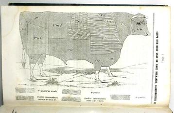 [Landbouw] La Revue Agricole 1846-7 Tractor Algerije Olijven beschikbaar voor biedingen