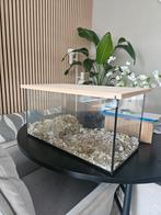 Terrarium voor dwerghamster, Minder dan 60 cm, Gebruikt, Ophalen of Verzenden, 75 tot 110 cm