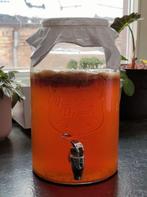 Kombucha Zwam (SCOBY) te koop!, Ophalen of Verzenden, Nieuw