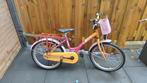 20 inch meisjes fiets, Fietsen en Brommers, Ophalen of Verzenden, Gebruikt, 20 inch
