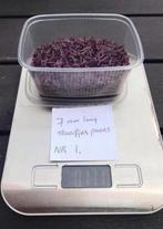 Paarse staafjes kralen 7 mm, Ophalen, Nieuw