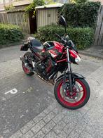 Kawasaki Z650 2024 met Arrow uitlaat, Motoren, Motoren | Kawasaki, Particulier, Naked bike