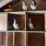4 figurita's, Dieren en Toebehoren, Vogels | Duiven, Meerdere dieren