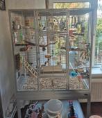 Montana vogelkooi, kamer voliere incl koppel parkieten., Ophalen, Zo goed als nieuw, Metaal, Vogelkooi