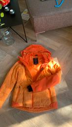Ski jas, Kleding | Dames, Maat 38/40 (M), Ophalen of Verzenden, Protest, Jack